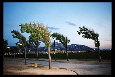 sbingaz218.jpg
