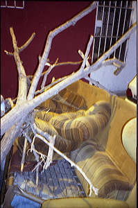 ubaumann231.jpg