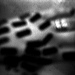 nsiegert139