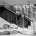 tleonard164