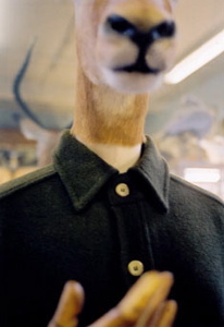 margot11.jpg