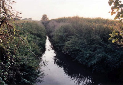 pa03.jpg