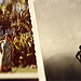 bene08